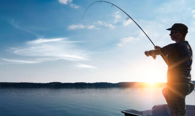 Mơ Câu Được Cá Điềm Lành Hay Giữ? Đánh Số Gì Trúng Lớn Kubet?